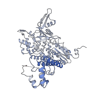 17792_8poh_F_v1-0
Influenza A/H7N9 polymerase symmetric dimer bound to the promoter (PA K289A/C489R)