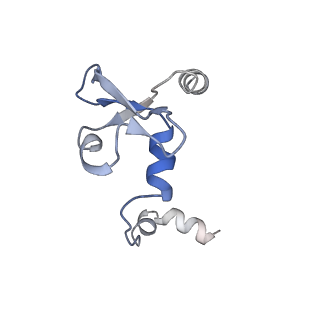 17792_8poh_G_v1-0
Influenza A/H7N9 polymerase symmetric dimer bound to the promoter (PA K289A/C489R)