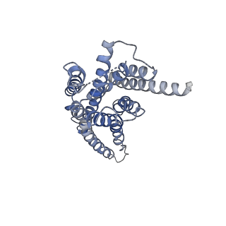 17793_8pok_A_v1-1
Cryo-EM structure of cell-free synthesized human histamine H2 receptor coupled to heterotrimeric Gs protein in lipid environment