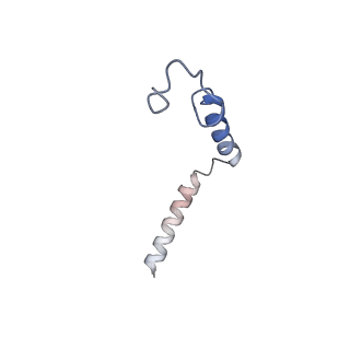 17793_8pok_D_v1-1
Cryo-EM structure of cell-free synthesized human histamine H2 receptor coupled to heterotrimeric Gs protein in lipid environment