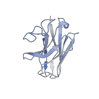 17793_8pok_E_v1-1
Cryo-EM structure of cell-free synthesized human histamine H2 receptor coupled to heterotrimeric Gs protein in lipid environment