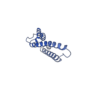 17794_8pop_A_v1-0
HK97 small terminase in complex with DNA
