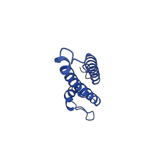 17794_8pop_D_v1-0
HK97 small terminase in complex with DNA