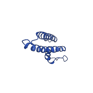 17794_8pop_E_v1-0
HK97 small terminase in complex with DNA