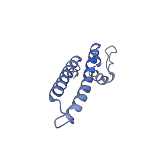 17794_8pop_G_v1-0
HK97 small terminase in complex with DNA