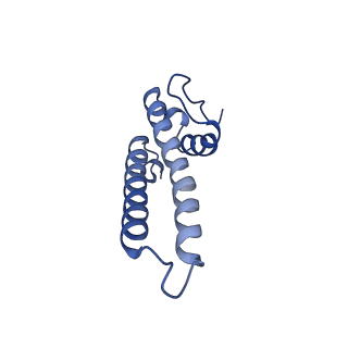 17794_8pop_H_v1-0
HK97 small terminase in complex with DNA