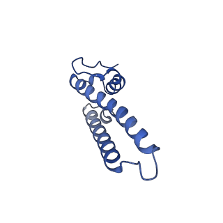 17794_8pop_I_v1-0
HK97 small terminase in complex with DNA