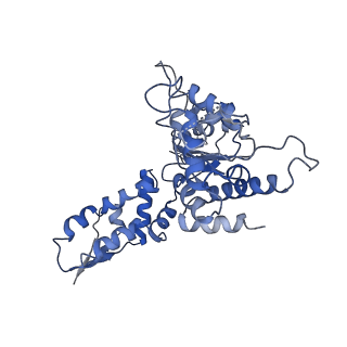 20406_6po1_A_v1-0
ClpX-ClpP complex bound to substrate and ATP-gamma-S, class 4
