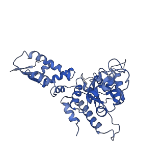 20406_6po1_B_v1-0
ClpX-ClpP complex bound to substrate and ATP-gamma-S, class 4