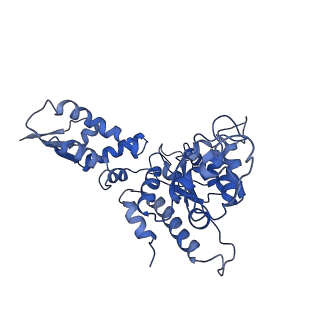 20406_6po1_B_v1-1
ClpX-ClpP complex bound to substrate and ATP-gamma-S, class 4