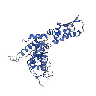 20406_6po1_D_v1-1
ClpX-ClpP complex bound to substrate and ATP-gamma-S, class 4