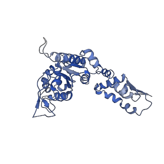 20406_6po1_E_v1-1
ClpX-ClpP complex bound to substrate and ATP-gamma-S, class 4