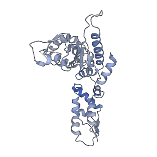 20406_6po1_F_v1-1
ClpX-ClpP complex bound to substrate and ATP-gamma-S, class 4