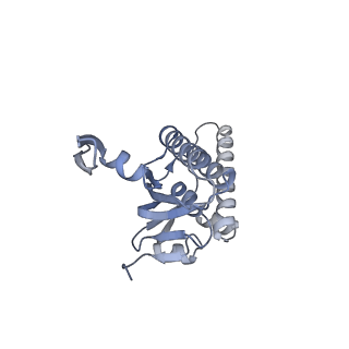 20406_6po1_H_v1-0
ClpX-ClpP complex bound to substrate and ATP-gamma-S, class 4