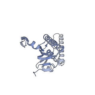 20406_6po1_H_v1-1
ClpX-ClpP complex bound to substrate and ATP-gamma-S, class 4