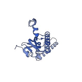 20406_6po1_I_v1-0
ClpX-ClpP complex bound to substrate and ATP-gamma-S, class 4