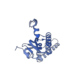 20406_6po1_I_v1-1
ClpX-ClpP complex bound to substrate and ATP-gamma-S, class 4