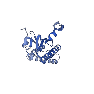 20406_6po1_J_v1-1
ClpX-ClpP complex bound to substrate and ATP-gamma-S, class 4