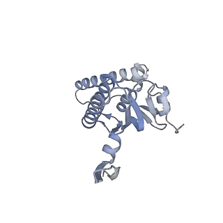 20406_6po1_M_v1-1
ClpX-ClpP complex bound to substrate and ATP-gamma-S, class 4