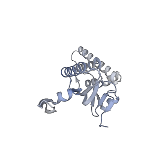 20406_6po1_N_v1-1
ClpX-ClpP complex bound to substrate and ATP-gamma-S, class 4