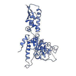 20408_6po3_C_v1-0
ClpX-ClpP complex bound to substrate and ATP-gamma-S, class 3