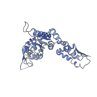 20408_6po3_E_v1-1
ClpX-ClpP complex bound to substrate and ATP-gamma-S, class 3