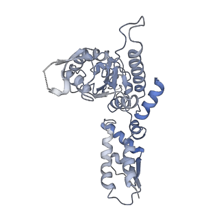 20408_6po3_F_v1-1
ClpX-ClpP complex bound to substrate and ATP-gamma-S, class 3