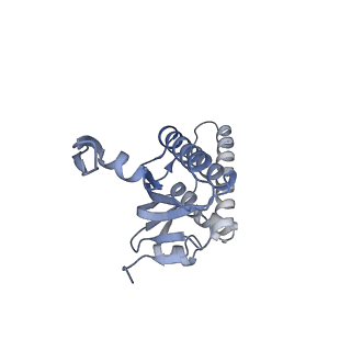 20408_6po3_H_v1-1
ClpX-ClpP complex bound to substrate and ATP-gamma-S, class 3