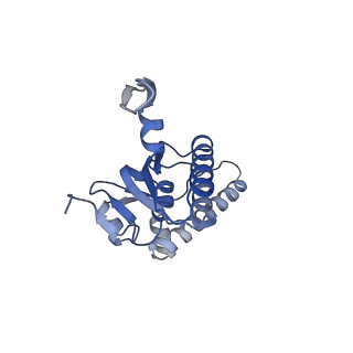 20408_6po3_I_v1-0
ClpX-ClpP complex bound to substrate and ATP-gamma-S, class 3
