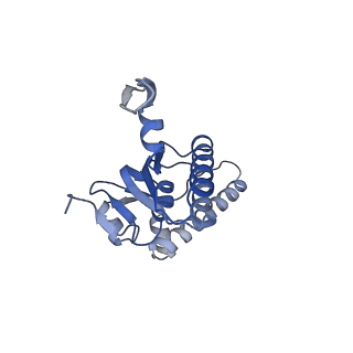 20408_6po3_I_v1-1
ClpX-ClpP complex bound to substrate and ATP-gamma-S, class 3