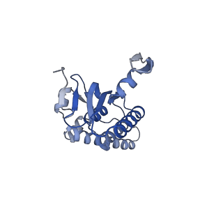 20408_6po3_J_v1-1
ClpX-ClpP complex bound to substrate and ATP-gamma-S, class 3