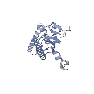 20408_6po3_L_v1-1
ClpX-ClpP complex bound to substrate and ATP-gamma-S, class 3