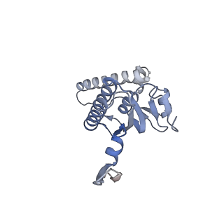 20408_6po3_M_v1-1
ClpX-ClpP complex bound to substrate and ATP-gamma-S, class 3