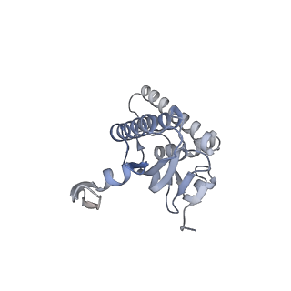 20408_6po3_N_v1-1
ClpX-ClpP complex bound to substrate and ATP-gamma-S, class 3