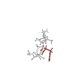 20408_6po3_S_v1-1
ClpX-ClpP complex bound to substrate and ATP-gamma-S, class 3