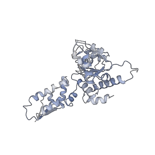 20412_6pod_A_v1-0
ClpX-ClpP complex bound to substrate and ATP-gamma-S, class 2