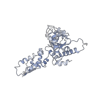 20412_6pod_A_v1-1
ClpX-ClpP complex bound to substrate and ATP-gamma-S, class 2