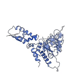 20412_6pod_B_v1-0
ClpX-ClpP complex bound to substrate and ATP-gamma-S, class 2