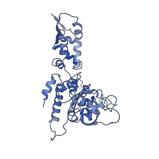 20412_6pod_C_v1-0
ClpX-ClpP complex bound to substrate and ATP-gamma-S, class 2