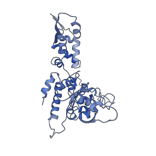 20412_6pod_C_v1-1
ClpX-ClpP complex bound to substrate and ATP-gamma-S, class 2