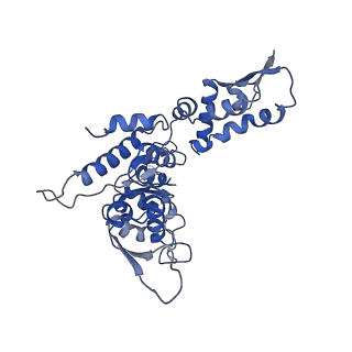 20412_6pod_D_v1-1
ClpX-ClpP complex bound to substrate and ATP-gamma-S, class 2