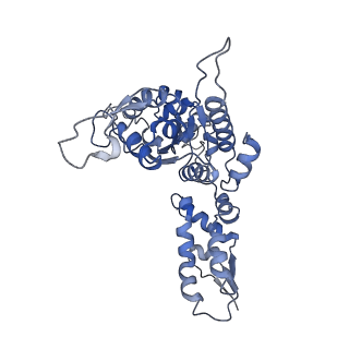 20412_6pod_F_v1-1
ClpX-ClpP complex bound to substrate and ATP-gamma-S, class 2