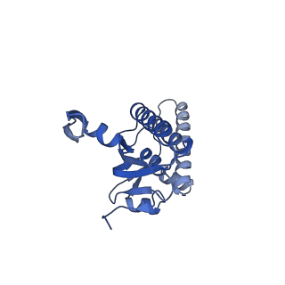20412_6pod_H_v1-0
ClpX-ClpP complex bound to substrate and ATP-gamma-S, class 2