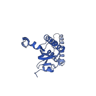 20412_6pod_H_v1-1
ClpX-ClpP complex bound to substrate and ATP-gamma-S, class 2