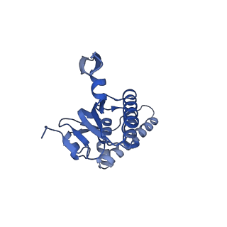 20412_6pod_I_v1-0
ClpX-ClpP complex bound to substrate and ATP-gamma-S, class 2