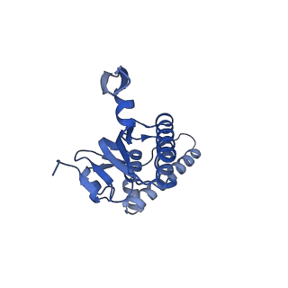 20412_6pod_I_v1-1
ClpX-ClpP complex bound to substrate and ATP-gamma-S, class 2