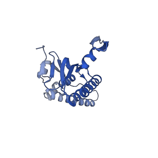 20412_6pod_J_v1-0
ClpX-ClpP complex bound to substrate and ATP-gamma-S, class 2