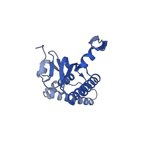 20412_6pod_J_v1-1
ClpX-ClpP complex bound to substrate and ATP-gamma-S, class 2