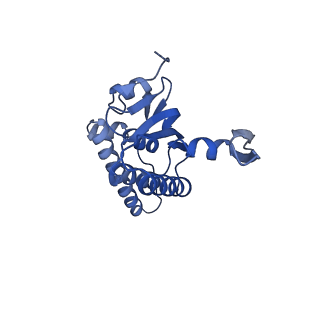 20412_6pod_K_v1-1
ClpX-ClpP complex bound to substrate and ATP-gamma-S, class 2