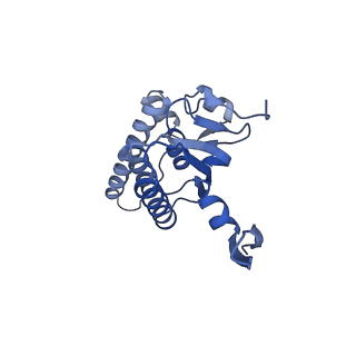 20412_6pod_L_v1-1
ClpX-ClpP complex bound to substrate and ATP-gamma-S, class 2